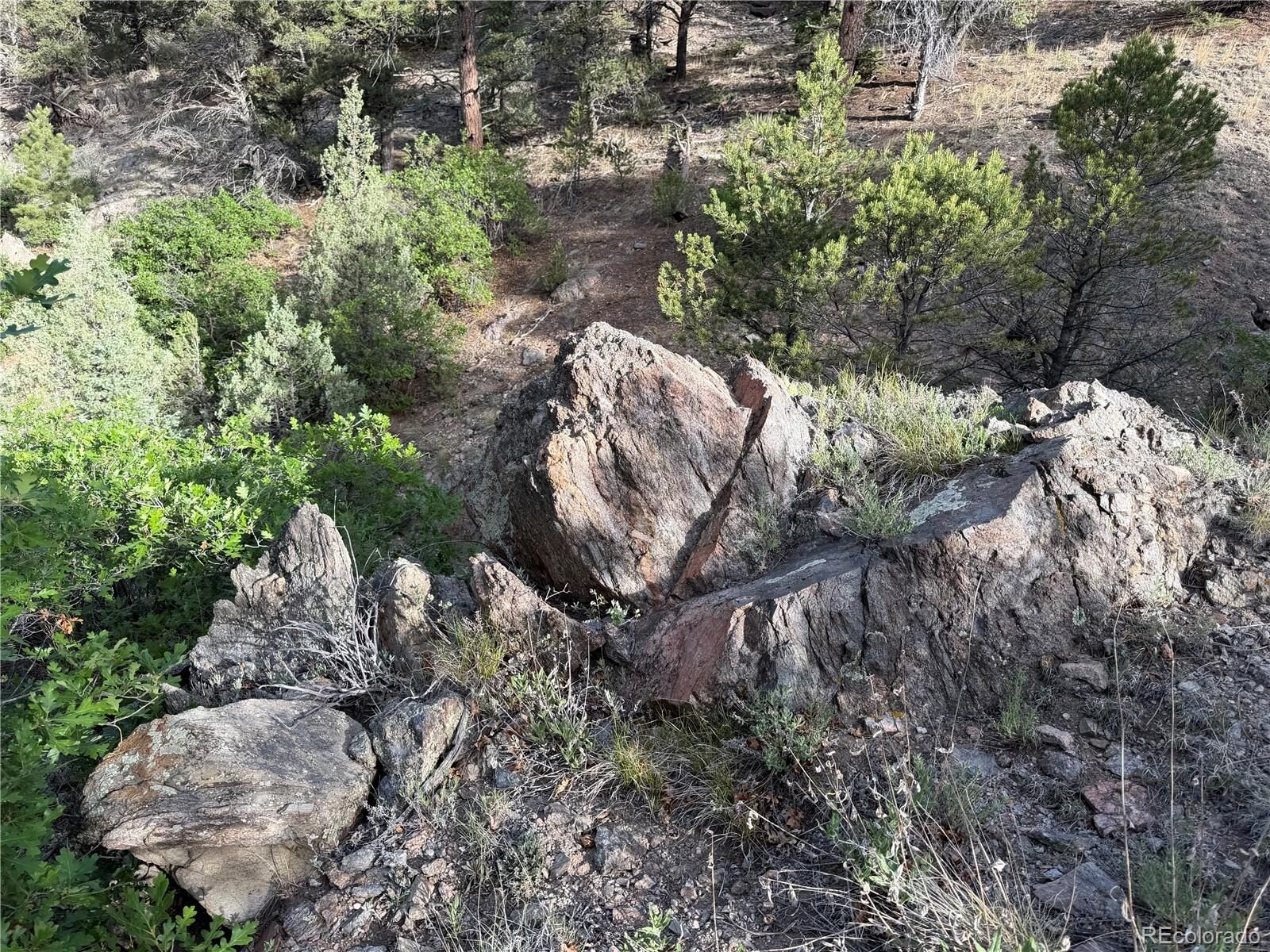 Property Photo: 594 Maurice Drive CO 81223