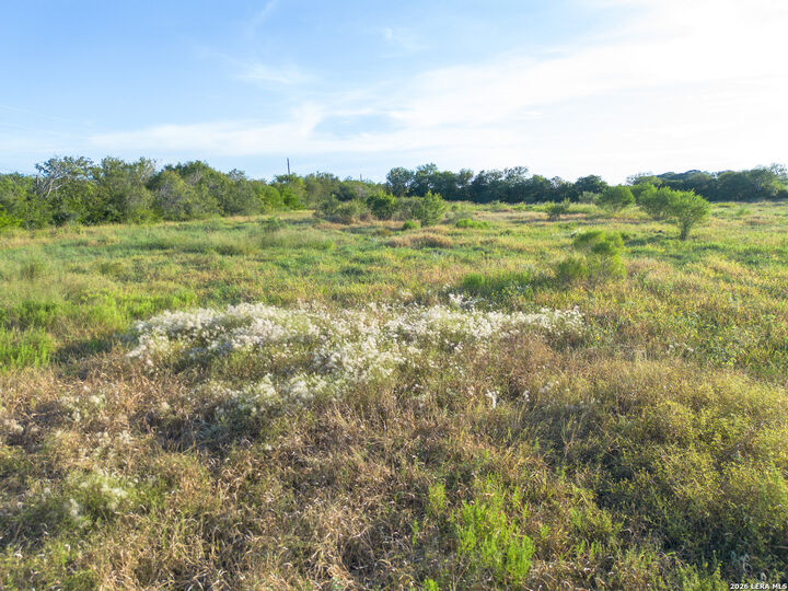 Property Photo: Tr 34A Old Houston Highway TX 78102