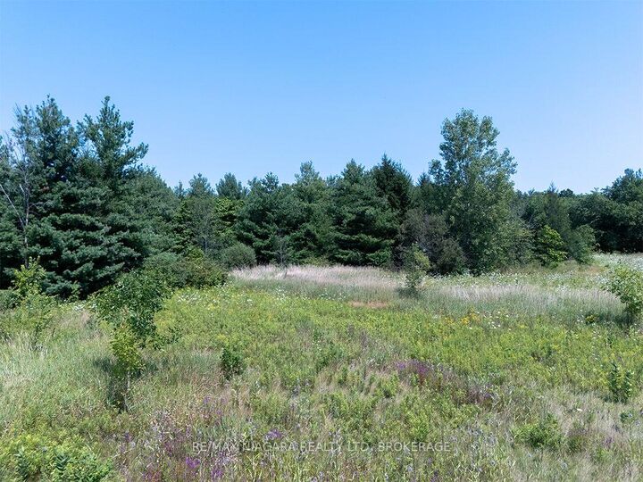 Property Photo:  Ns Forks Road W  ON L0S 1V0 