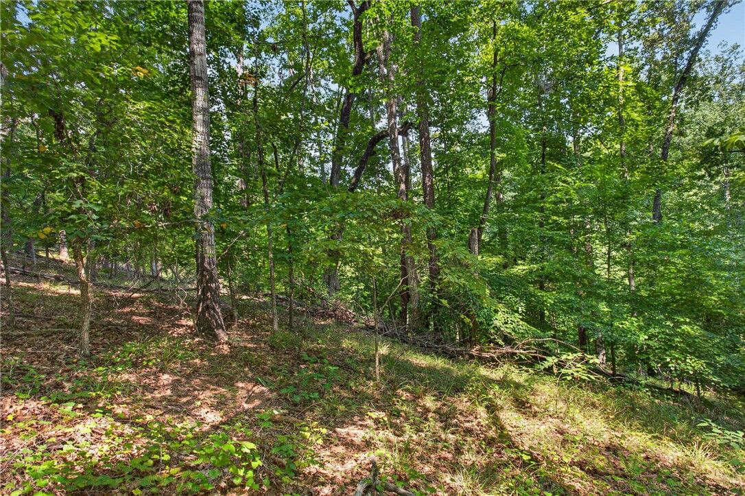Property Photo:  206 Shipmaster Drive  SC 29676 