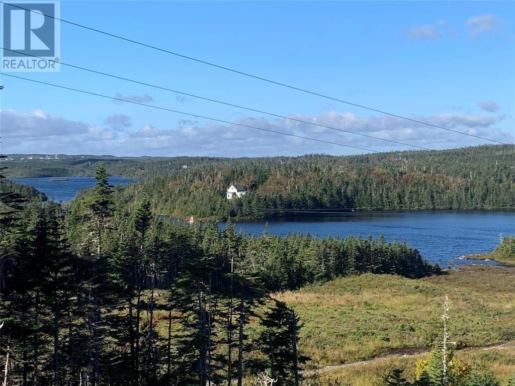 Property Photo:  Lot 5 Halleran Trail  NL A0B 1G0 