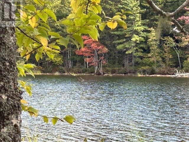 Property Photo:  Lot 4 Lakeshore Drive  NS B0J 2M0 