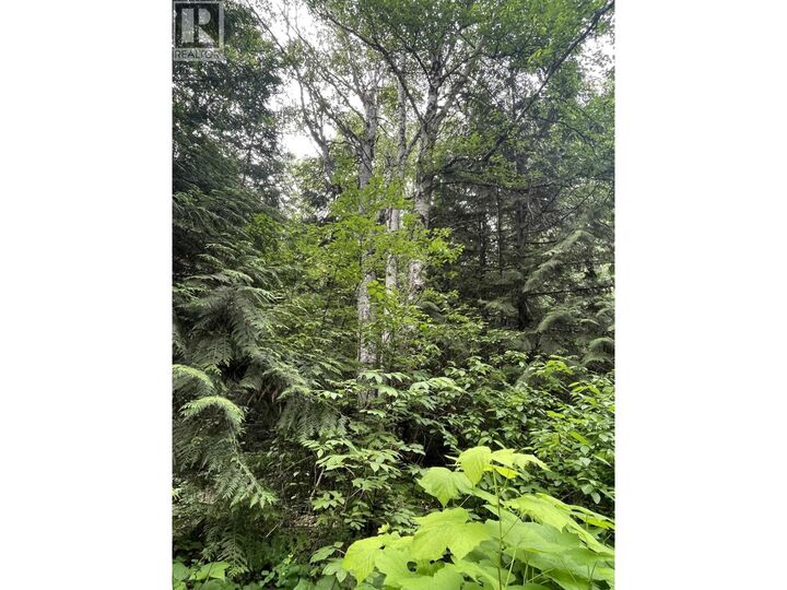 Property Photo:  Dl830 Cedarvale Kitwanga Back Road  BC V0J 2A0 