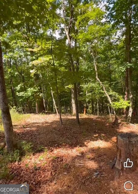 Property Photo: 0 Rusty G Pl GA 30534