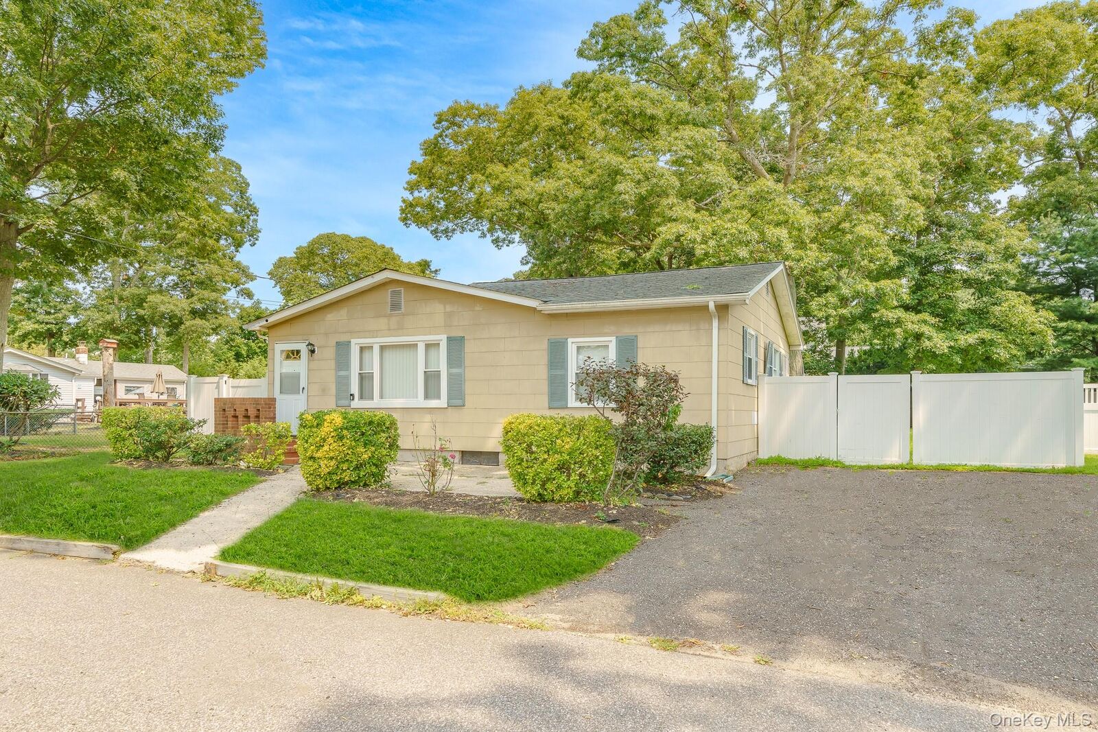 Property Photo:  49 Salem Street  NY 11772 