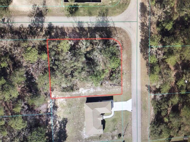 Property Photo:  0 SW 61 Court  FL 34473 