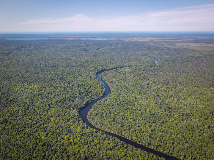 Property Photo: 3505 N Timber Lost Road MI 49768