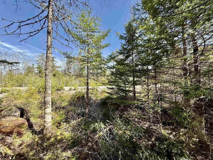 Lot 32 Dynasty Court — photo 1
