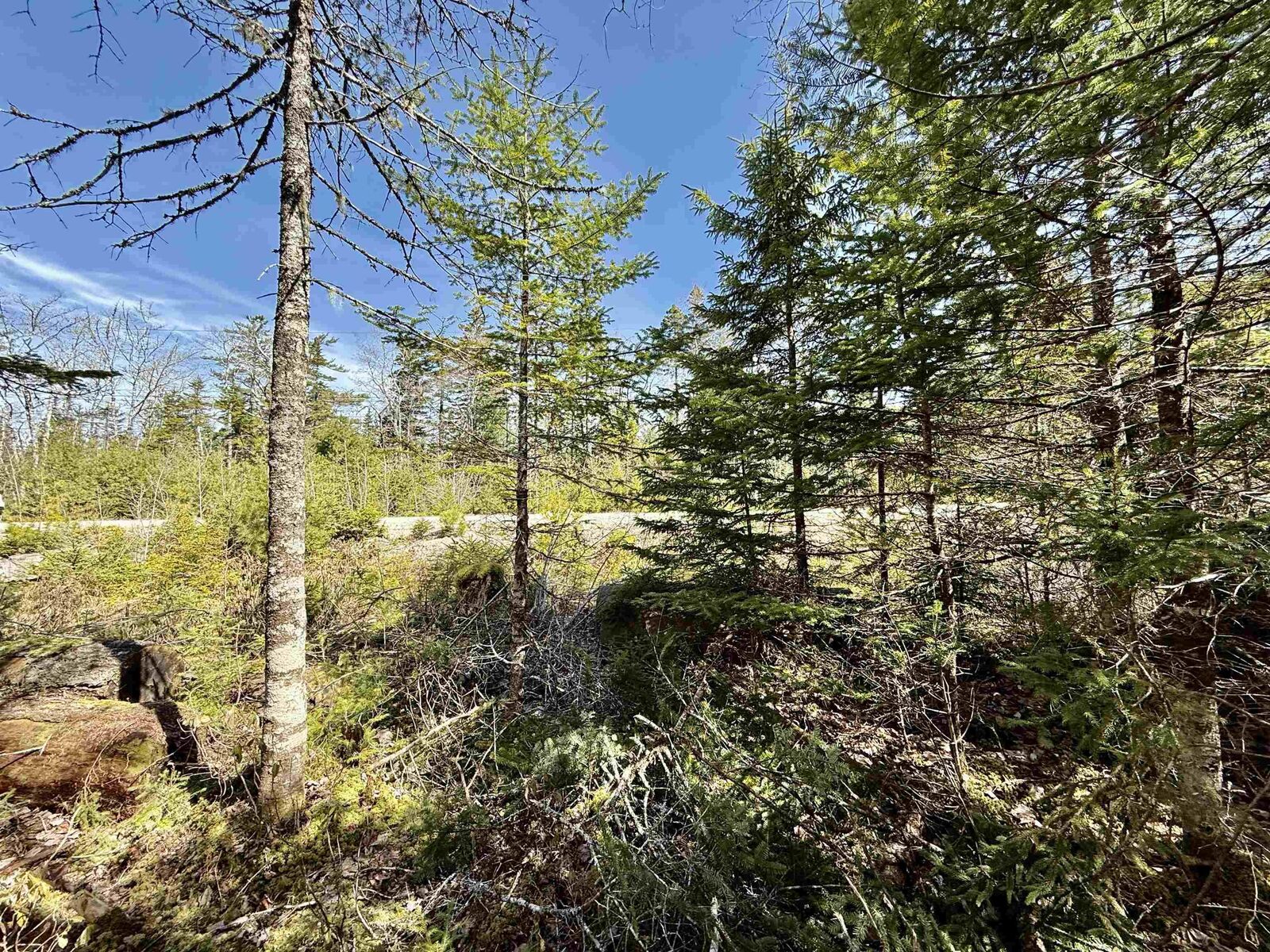 Property Photo:  Lot 32 Dynasty Court  NS B0J 1J0 
