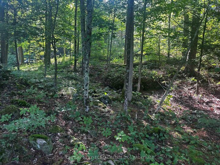 Property Photo: 434 Moorhead Lane ON K0E 1L0