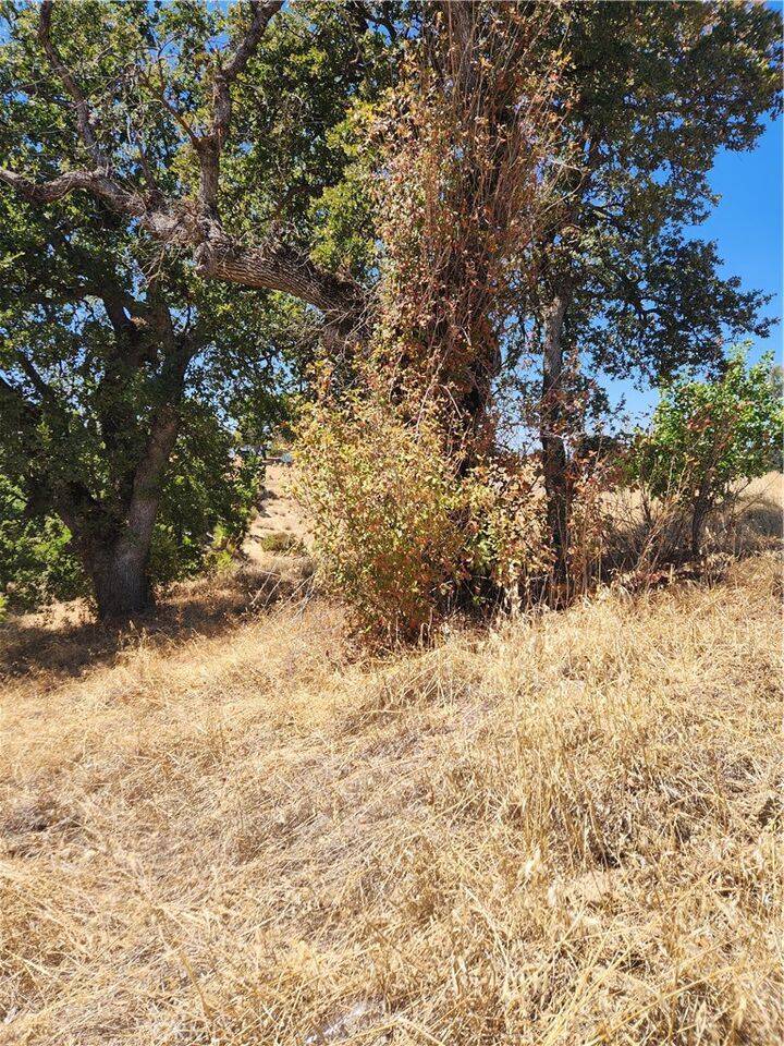 Property Photo: 7116 Weatherby CA 96021
