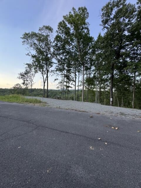 Property Photo:  290 Eagle View Drive  GA 30540 
