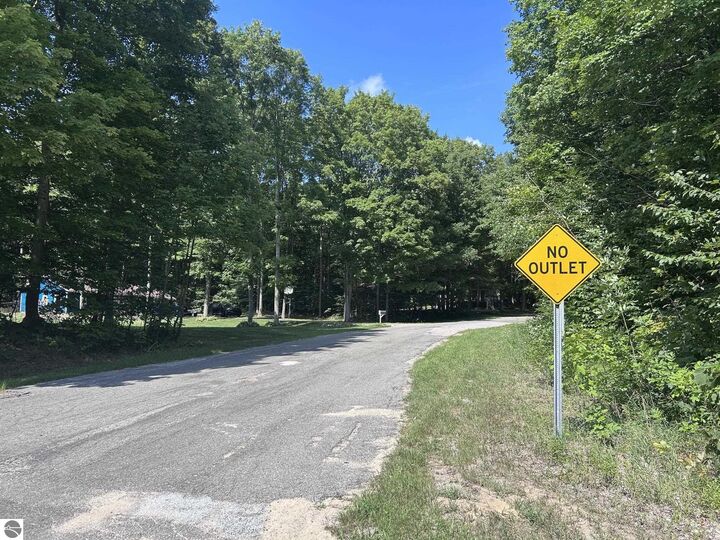 Property Photo: 0 Antioch Drive MI 49668