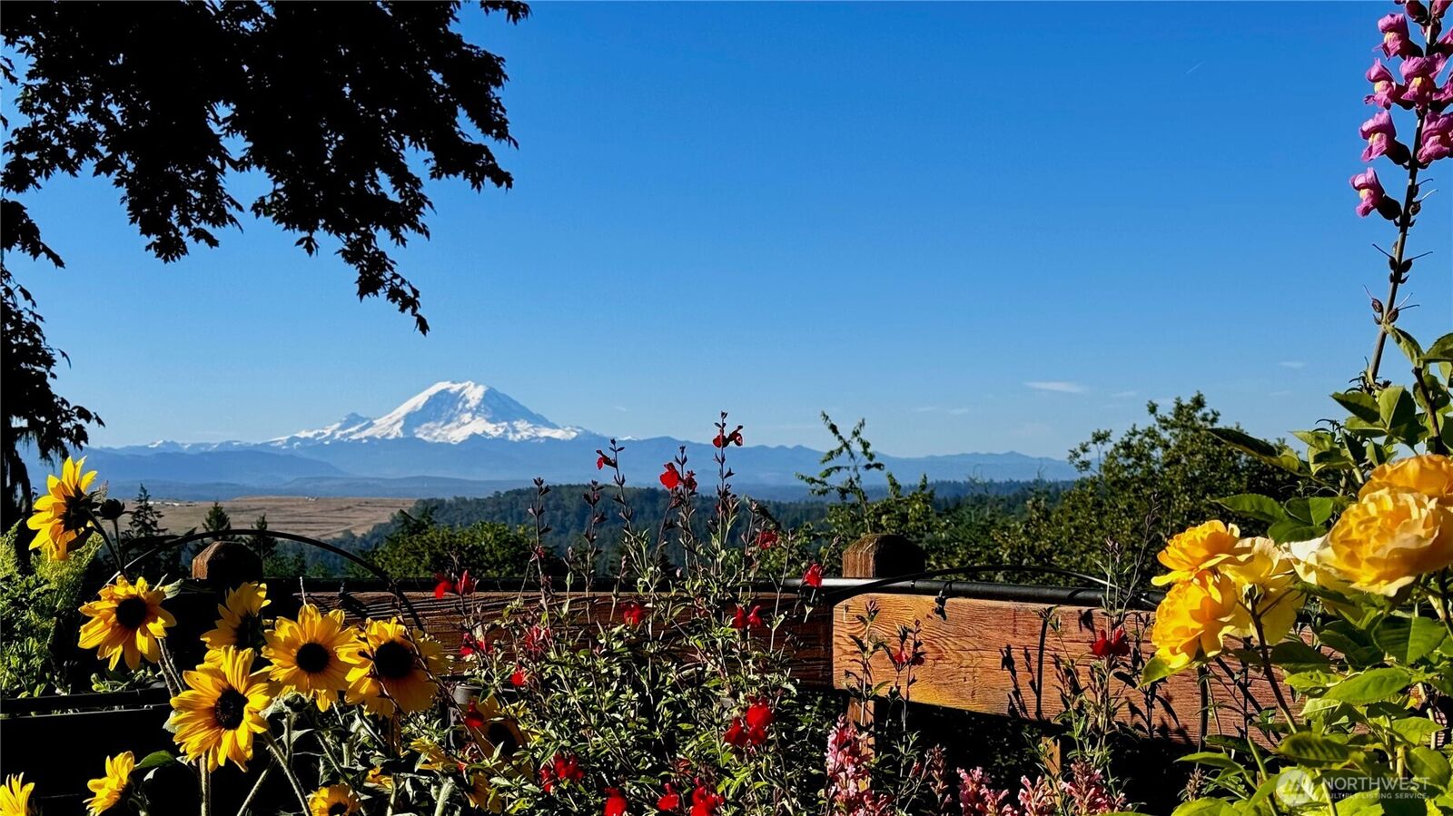 Property Photo:  12213  206th Place SE  WA 98027 