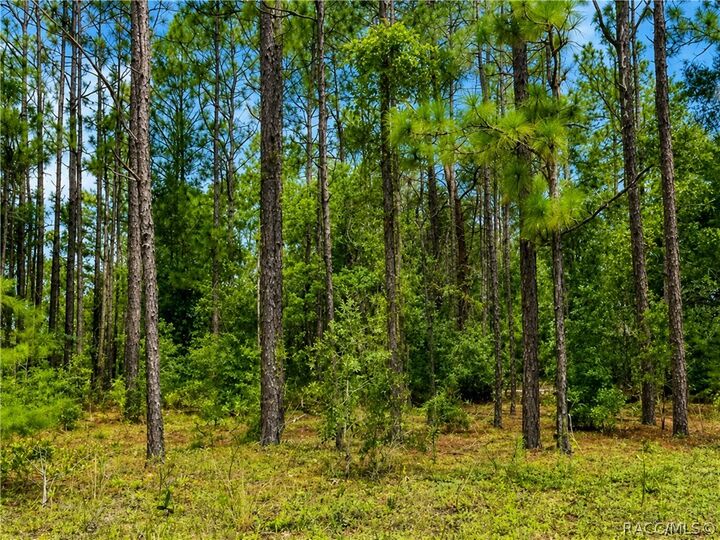 Property Photo: 7938 N Ryan Way FL 34434