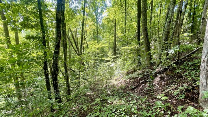 Property Photo:  1304 Balsam Circle  TN 37876 