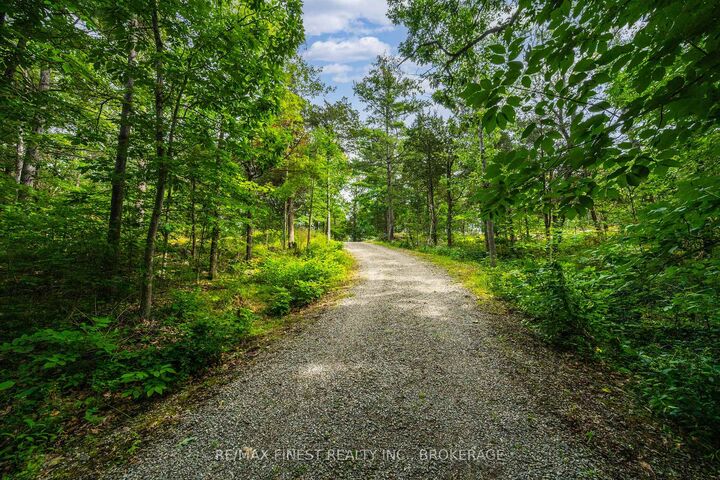Property Photo: 169 Old River Road ON K0E 1R0
