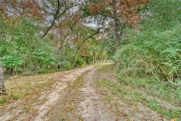 Property Photo:  10232 Riley Green Road  TX 77856 
