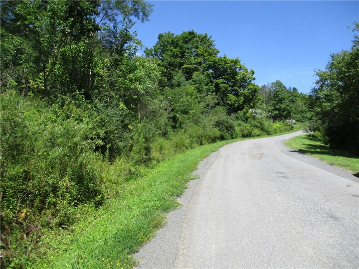 Property Photo:  0 Daniels Road  NY 13844 