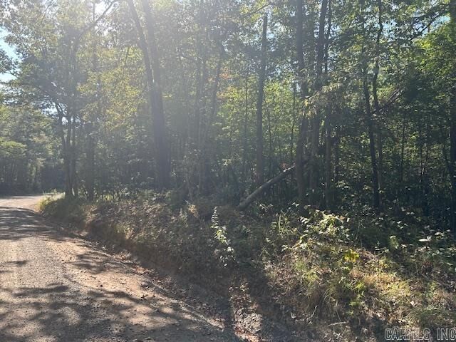 Property Photo: 000 Shaw Bridge Road AR 72015