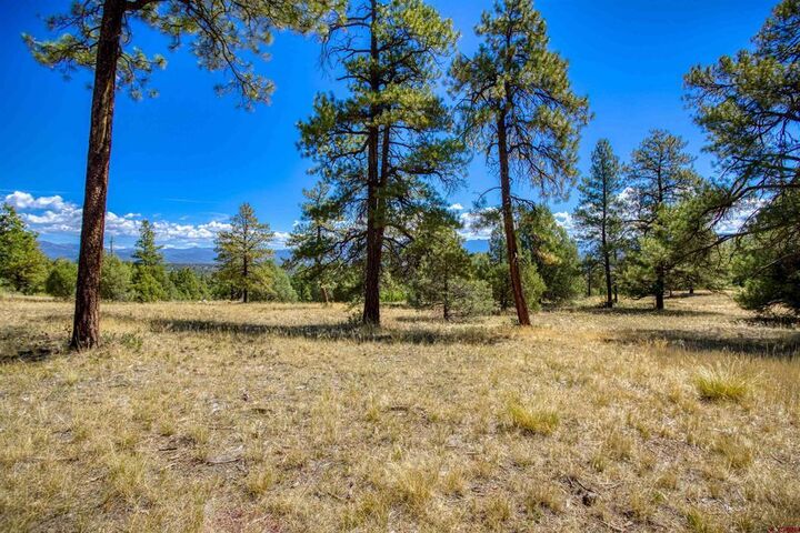 Property Photo:  122 Yarrow Circle  CO 81147 