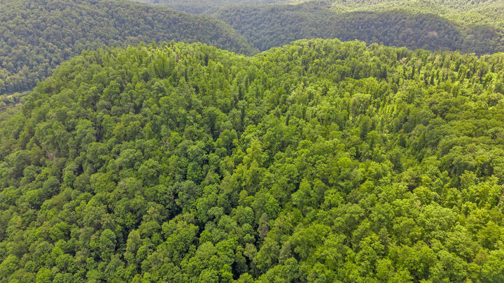 Property Photo:  60 US Turkey  WV 25862 