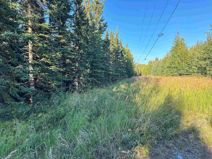 Property Photo:  3567 Nistler Road 3567 Kusz Way/ Emmaus Road  AK 99737 