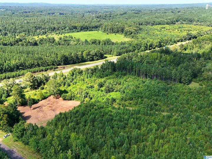 Property Photo:  Unkn County Road 18 1  AL 36264 