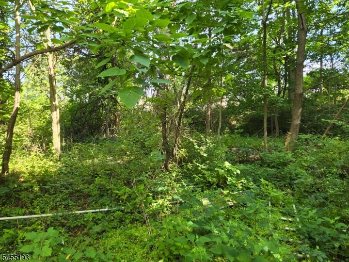 Property Photo: 2 Hewlett Rd NJ 07082