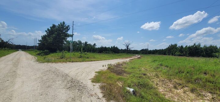 Property Photo: 315 Polk TX 75851