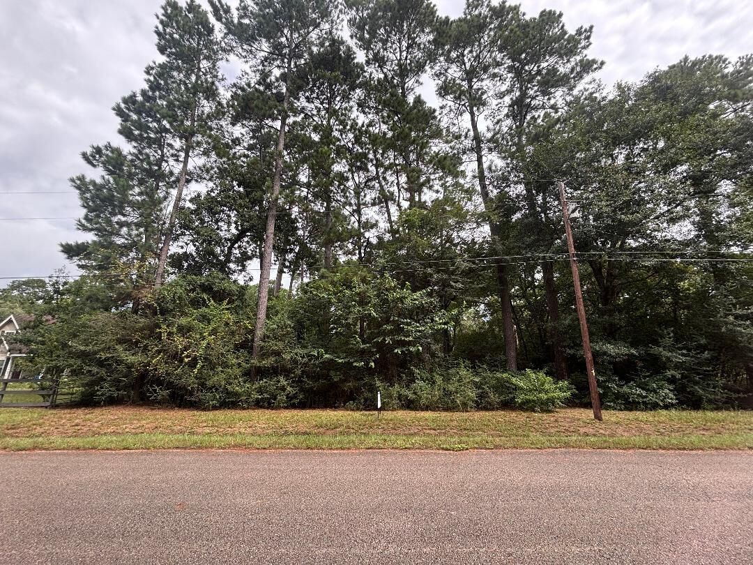 Property Photo: Lot 126 Fantail Street TX 77355