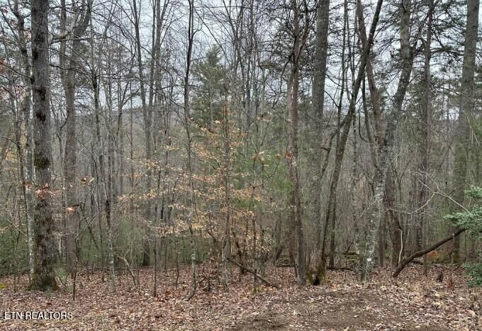 Property Photo:  173 Pineridge Loop  TN 38558 