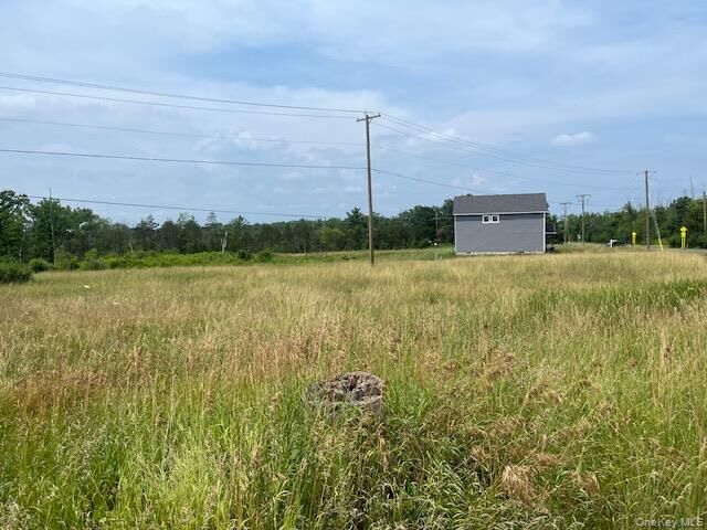 Property Photo:  35 Pulcher Avenue  NY 12534 