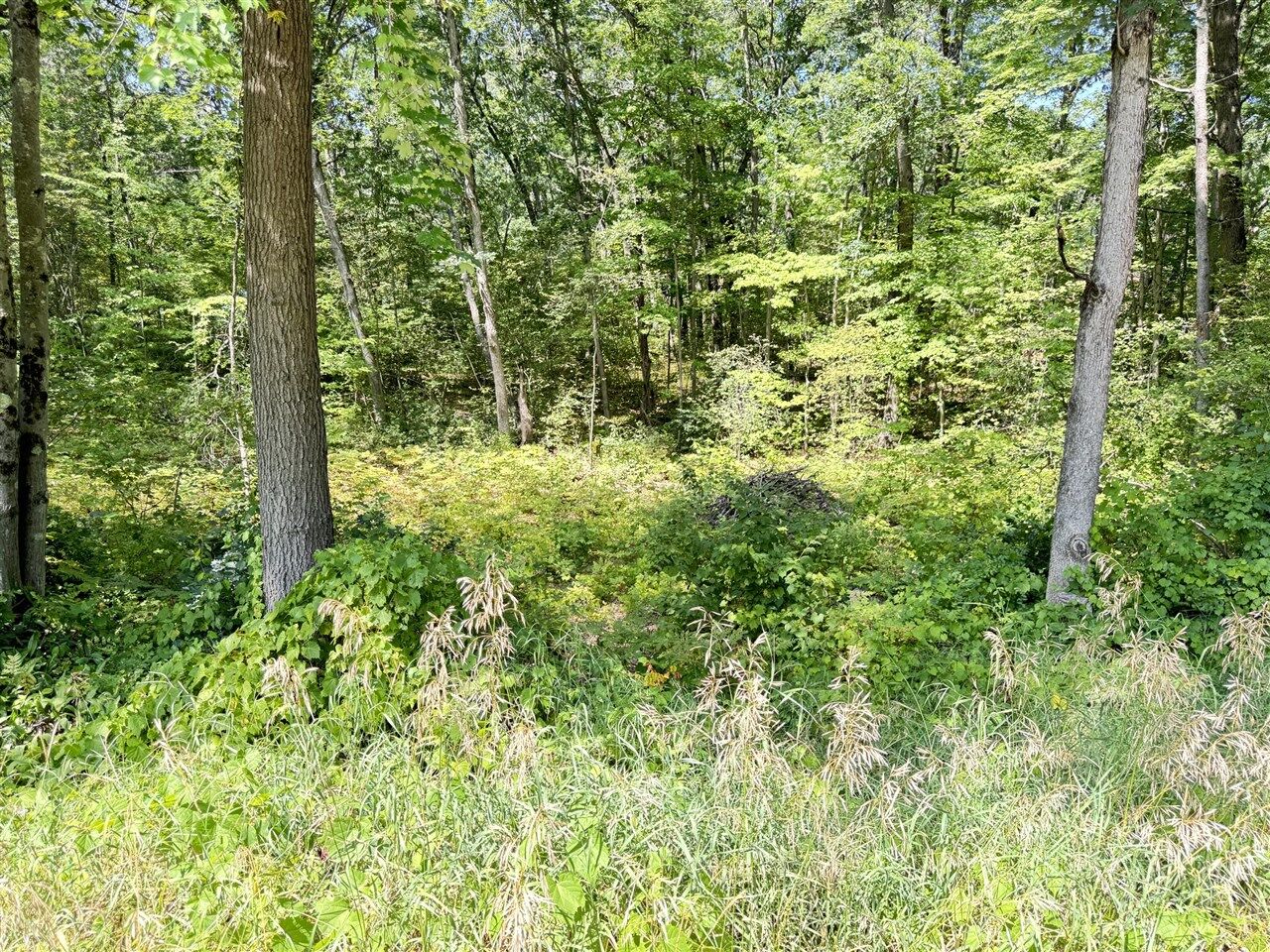 Property Photo:  8835 N Bingham Avenue  MI 49309-9444 