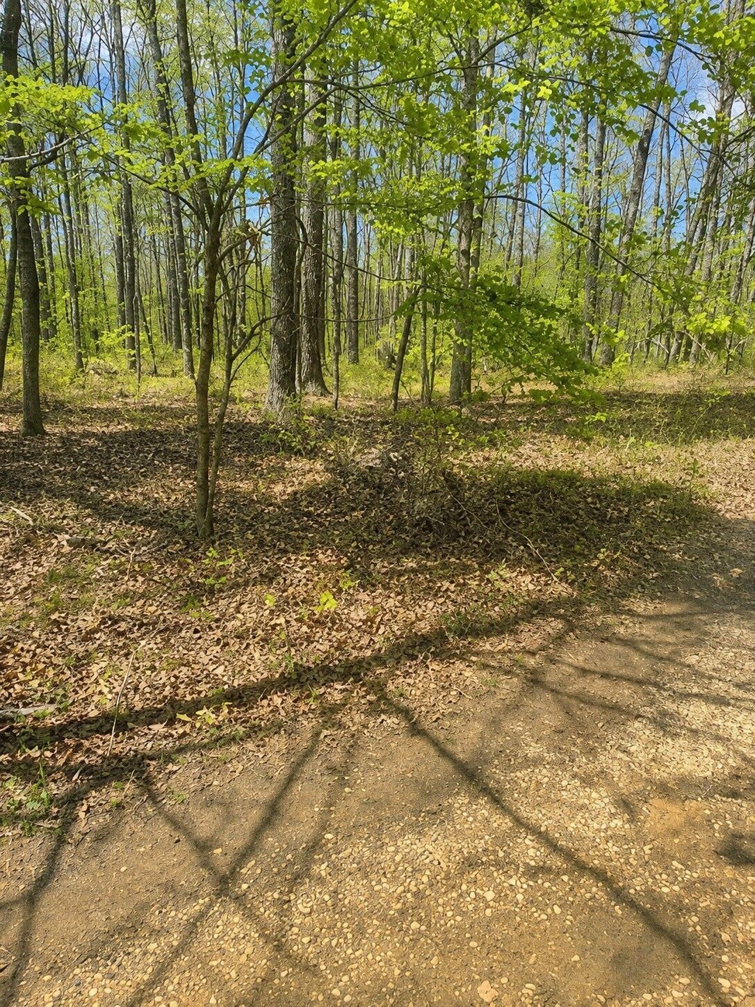 Property Photo: 0 Doe Creek Lake Dr TN 38583
