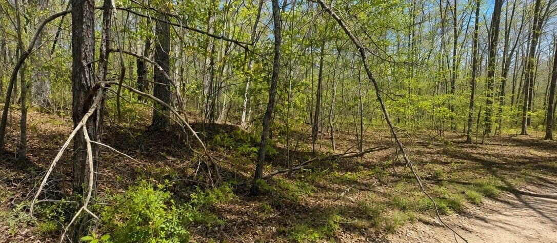 Property Photo:  0 Doe Creek Lake Dr  TN 38583 
