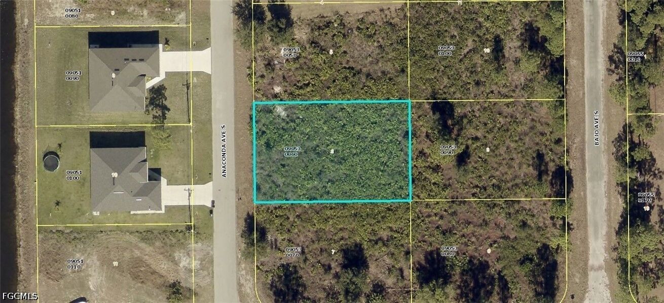 Property Photo: 819 Anaconda Avenue S FL 33974