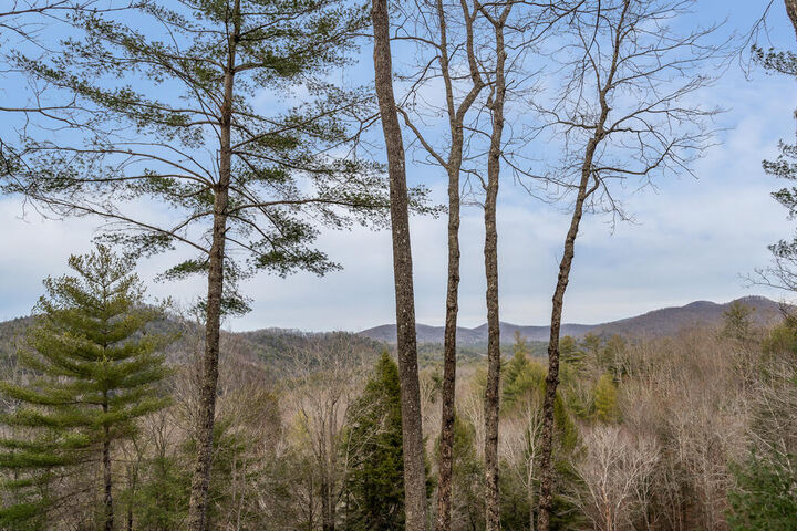 Property Photo:  131 Toccoa Overlook Lane  GA 30513 