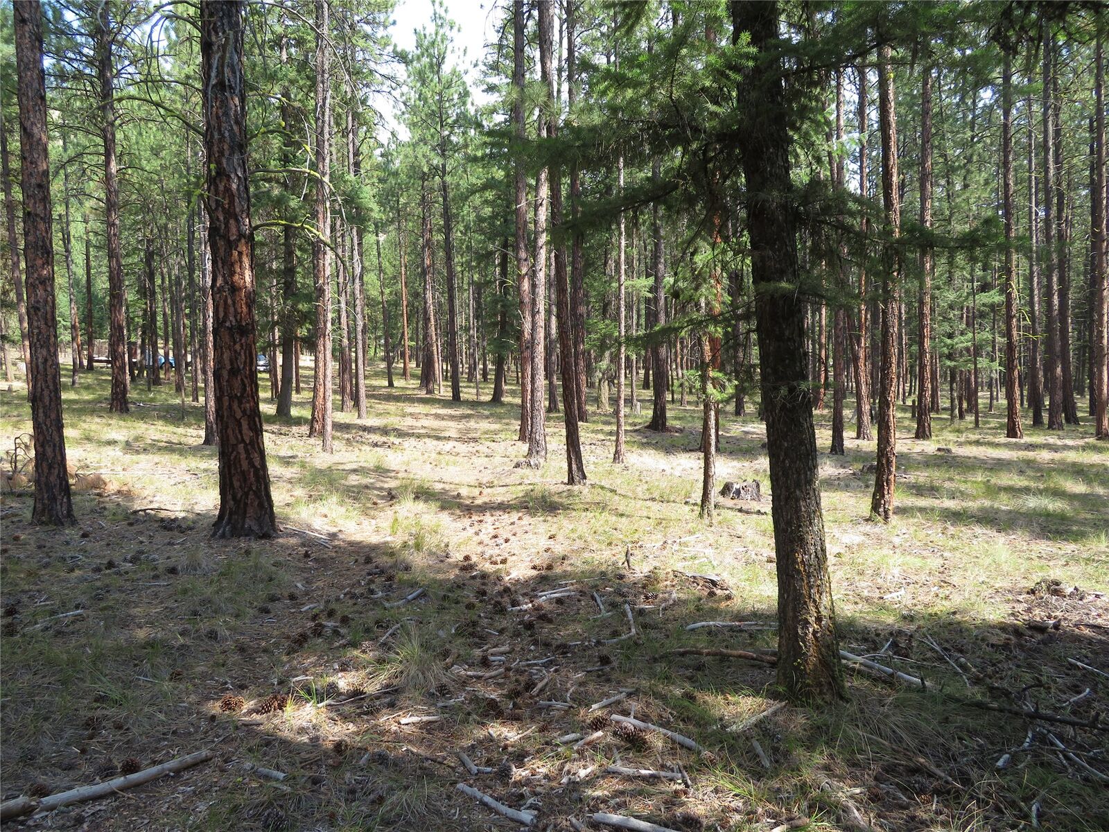 Property Photo:  Nhn Rosco Road  MT 59820 