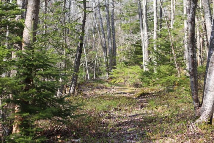 Property Photo:  Lot 3 Brooklyn Shores  NS B0J 1H0 