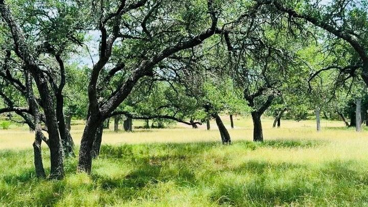 Property Photo:  Lot 26 Swiss Ranch Rd  TX 78663 