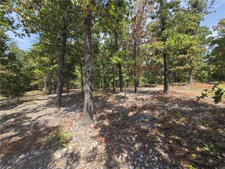Property Photo:  Lot 6 Lothian Lane  AR 72715 