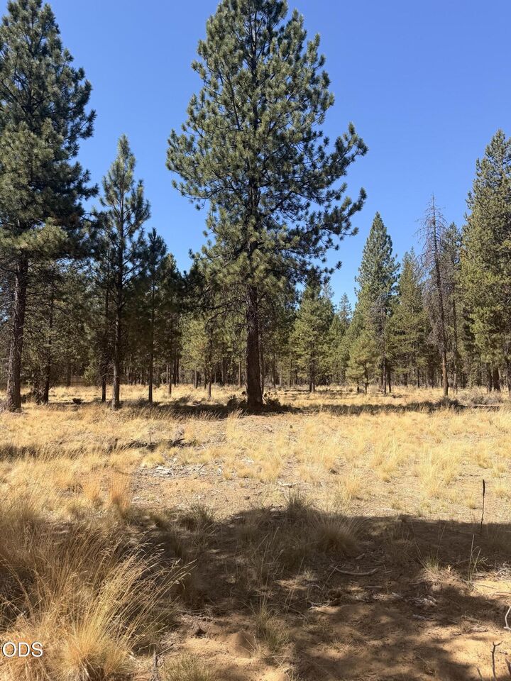 Property Photo:  56031 Savage Road  OR 97707 