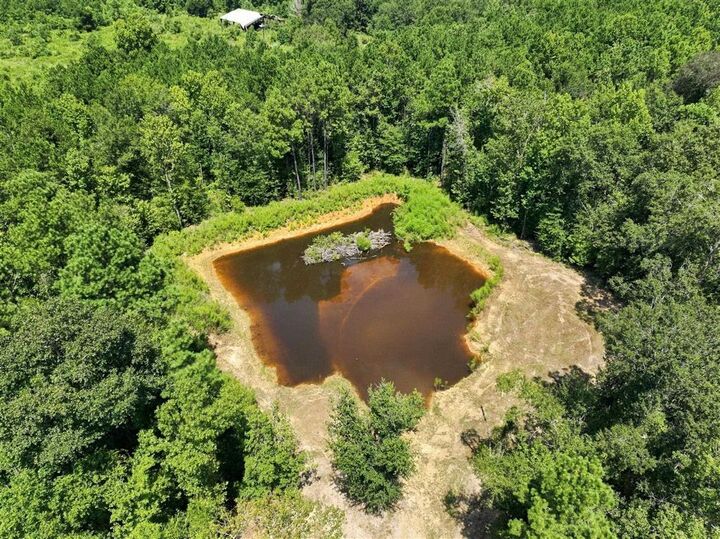 Property Photo:  Bel Fire Tower Road  LA 70658 