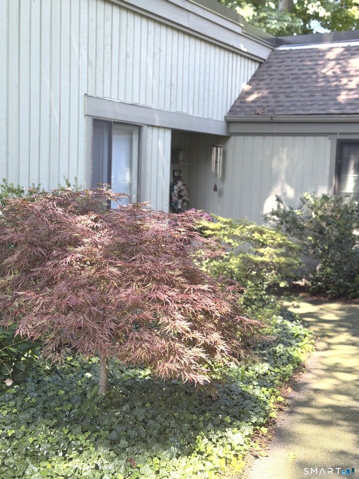 Property Photo:  857 Heritage Village A  CT 06488 