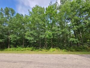 Property Photo:  V/L Wolverine Trail  MI 49735 