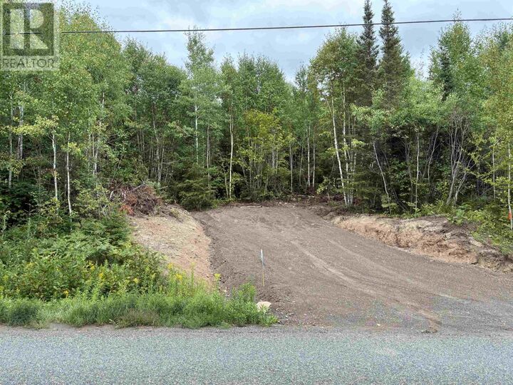 Property Photo:  241 Cloud Lake Rd  ON P7L 0A8 