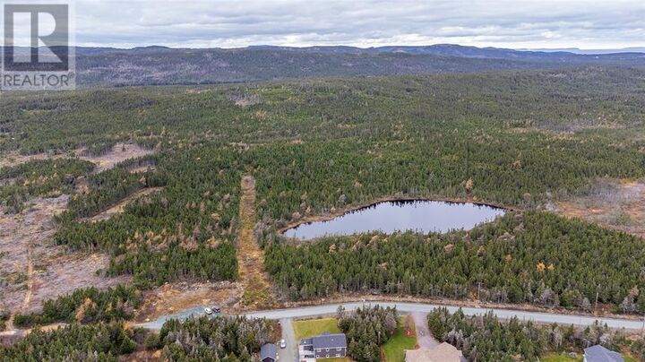 Property Photo: 0 Medalsis Pond Road NL A1K 1C9