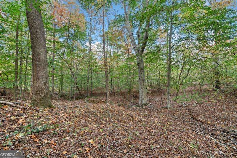 Property Photo:  0 Ammons Drive  GA 30183 