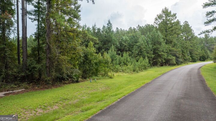 Property Photo:  V/L La Sole Lane  GA 31565 